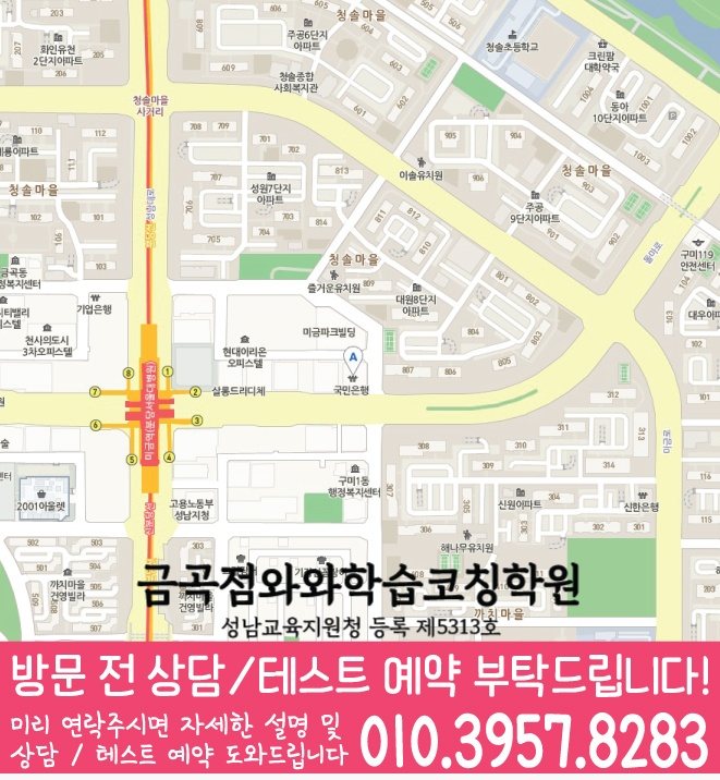 성남 금곡동 고등학원 지도